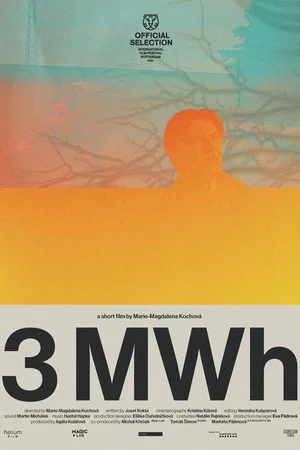 Постер: 3 MWh