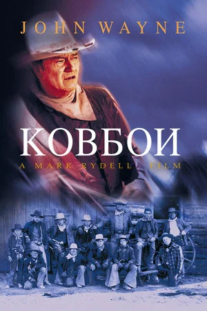 Постер: Ковбои