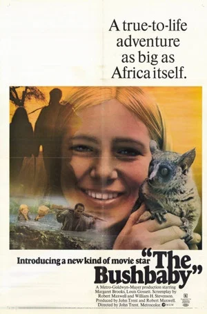 Постер: The Bushbaby