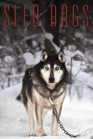 Постер: Sled Dogs