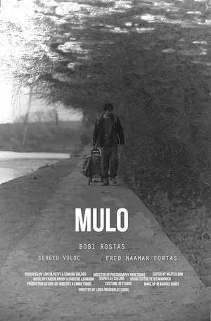 Постер: Mulo