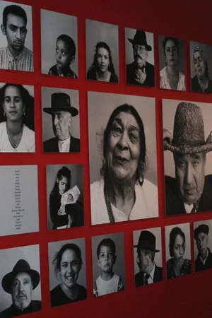Постер: The Last Romani in Auschwitz