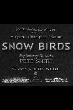 Постер: Snow Birds