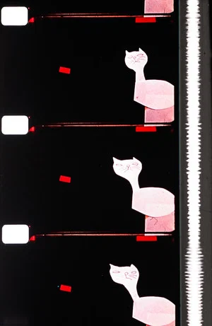 Постер: Cats