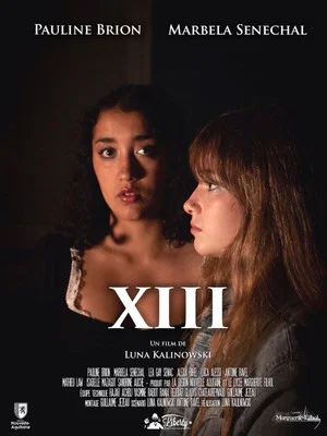 Постер: XIII