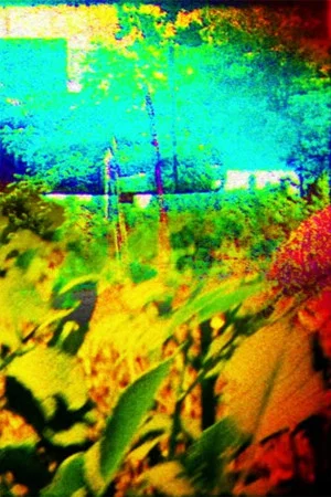 Постер: The Colors of Boulder in the Summer