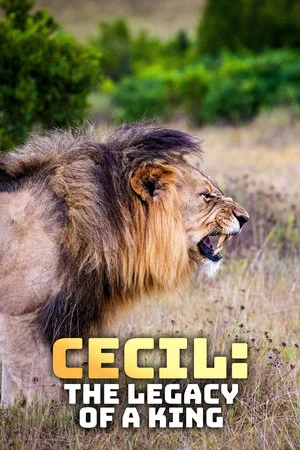 Постер: Cecil: The Legacy of a King