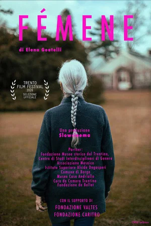 Постер: Fémene