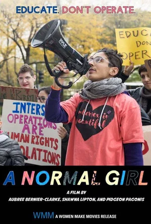 Постер: A Normal Girl