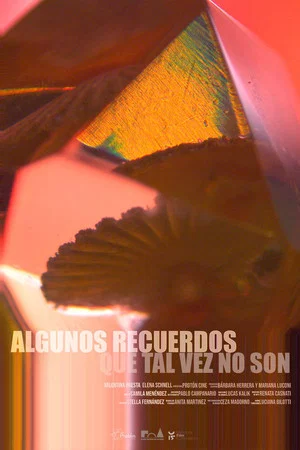 Постер: Algunos recuerdos que tal vez no son