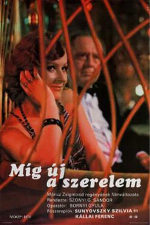 Постер: Míg új a szerelem