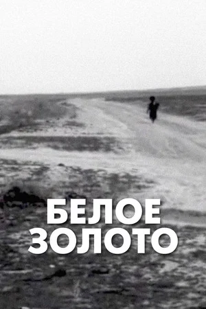 Постер: White Gold