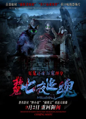 Постер: The Missing