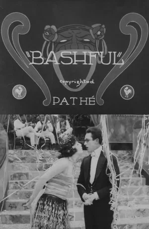 Постер: Bashful