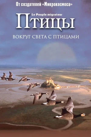 Постер: Птицы