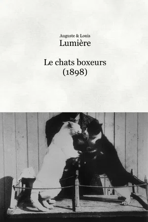 Постер: Les chats boxeurs