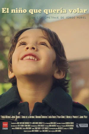 Постер: The Boy Who Wanted to Fly