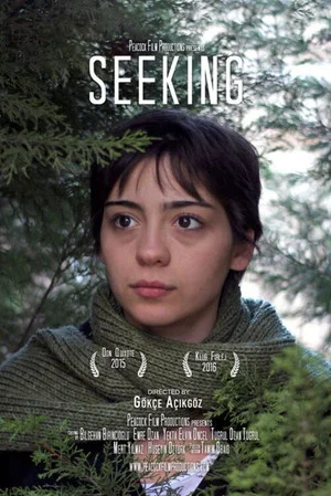 Постер: Seeking
