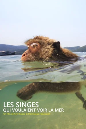 Постер: Les singes qui voulaient voir la mer