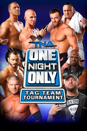 Постер: TNA One Night Only: Tag Team Tournament 2014