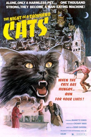 Постер: The Night of a Thousand Cats