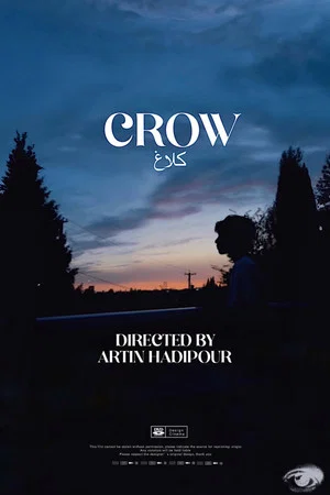 Постер: Crow