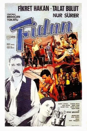 Постер: Fidan