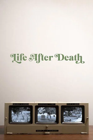 Постер: Life After Death