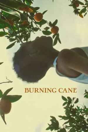 Постер: Burning Cane