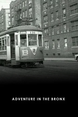 Постер: Adventure in the Bronx
