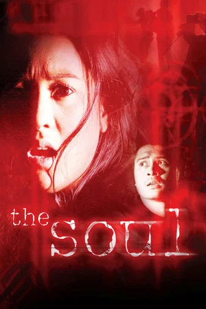 Постер: The Soul