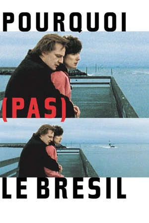 Постер: Why (Not) Brazil?