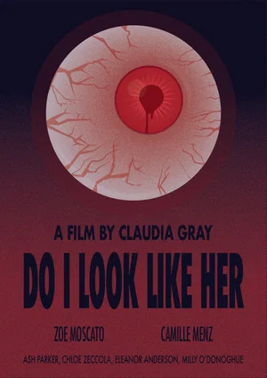 Постер: Do I Look Like Her?