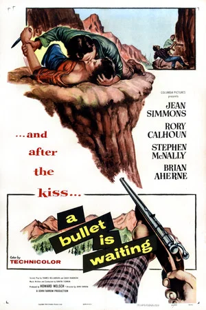 Постер: A Bullet Is Waiting