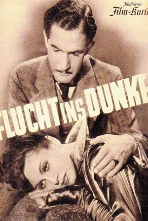 Постер: Flucht ins Dunkel