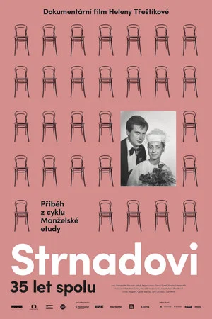 Постер: A Marriage Story