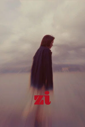 Постер: Zi