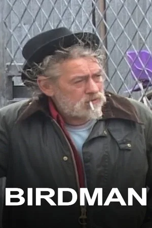 Постер: Birdman