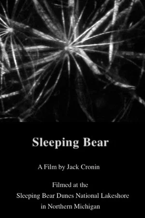 Постер: Sleeping Bear