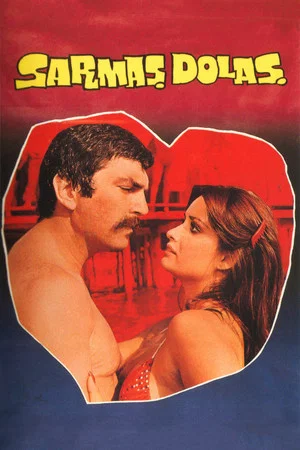 Постер: Sarmaş Dolaş