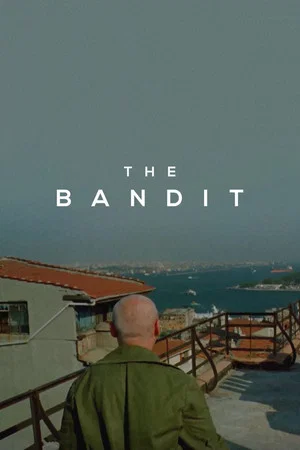 Постер: The Bandit