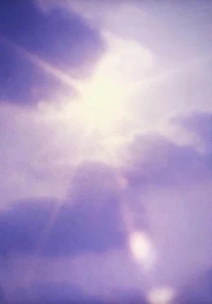 Постер: A lion and violet