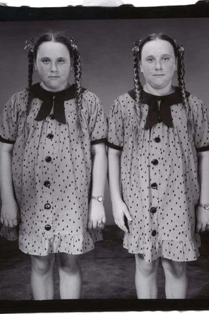 Постер: Twins