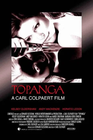 Постер: The Affair