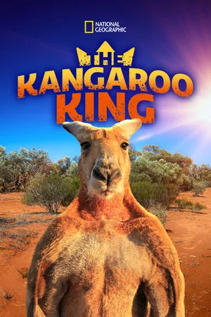Постер: The Kangaroo King