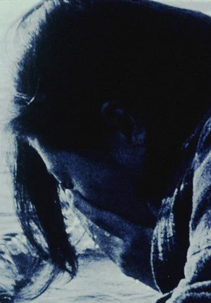 Постер: Echoed Silence