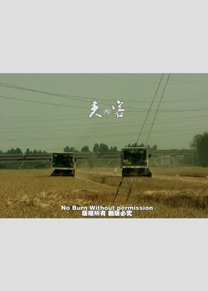 Постер: Wheat Passenger