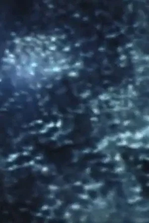 Постер: Two Images For a Computer Piece (With an Interlude)