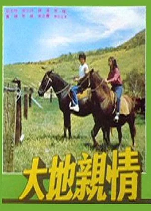 Постер: Love on the Big Country