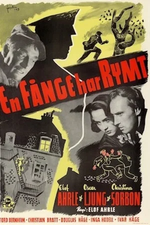 Постер: En fånge har rymt